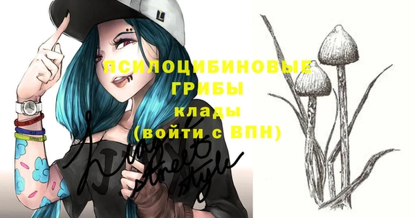 jwh Ладушкин